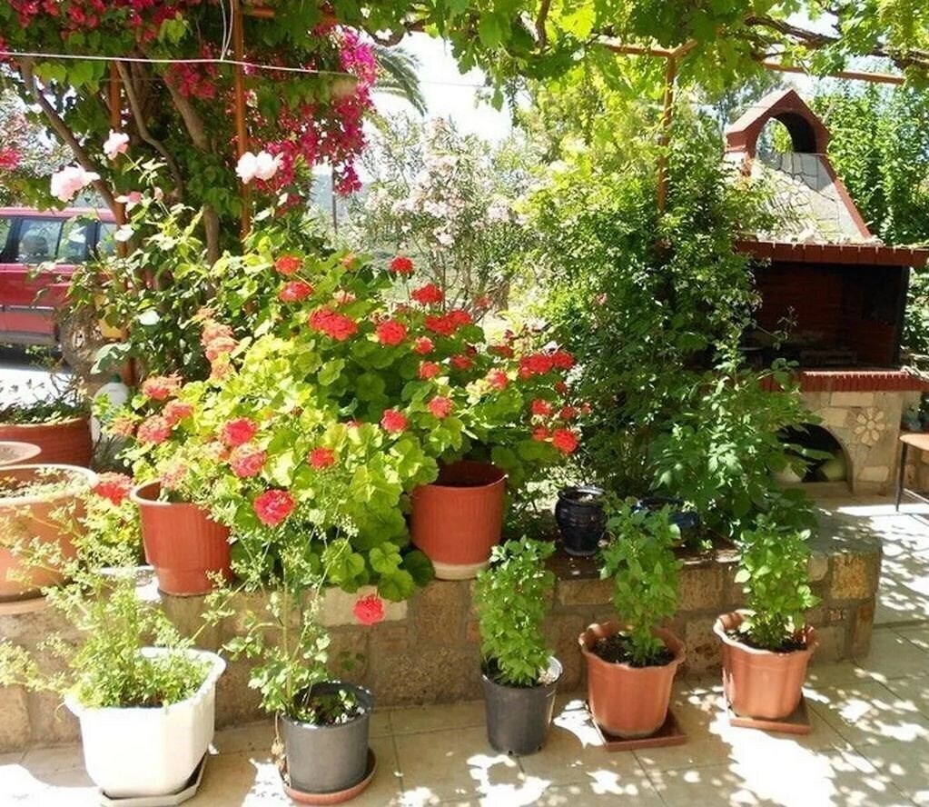 Фото Anthoula Kos отель без категории